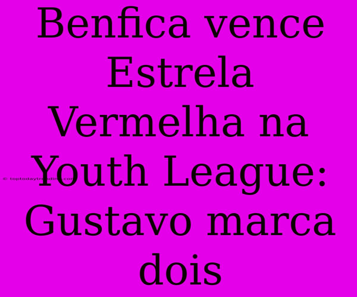 Benfica Vence Estrela Vermelha Na Youth League: Gustavo Marca Dois