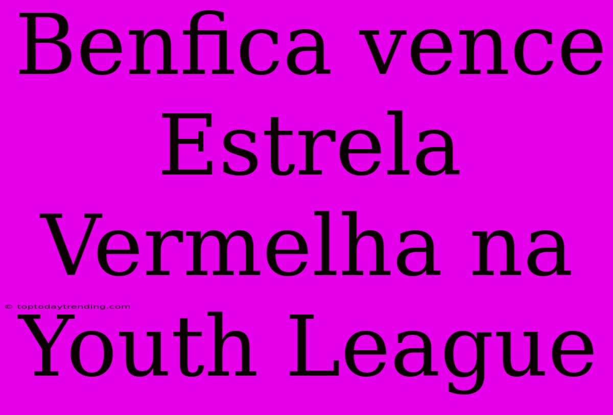 Benfica Vence Estrela Vermelha Na Youth League