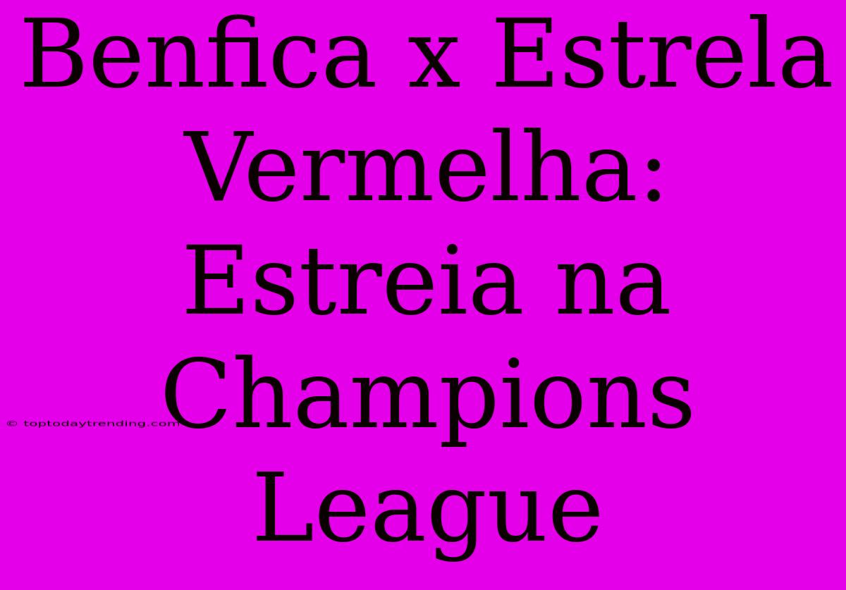 Benfica X Estrela Vermelha: Estreia Na Champions League