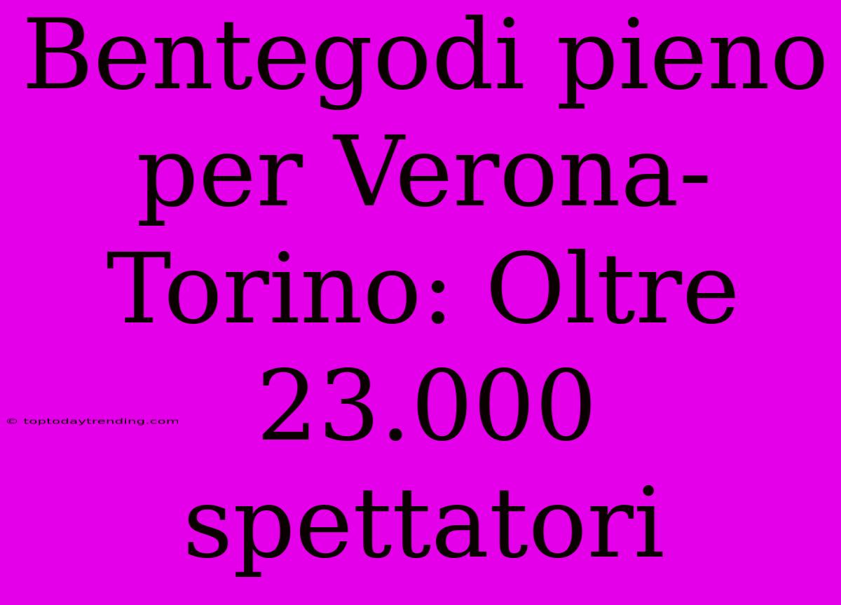 Bentegodi Pieno Per Verona-Torino: Oltre 23.000 Spettatori