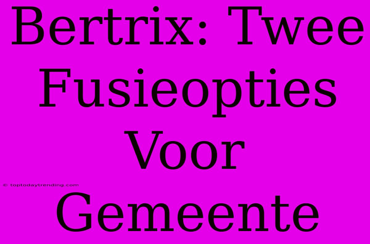 Bertrix: Twee Fusieopties Voor Gemeente