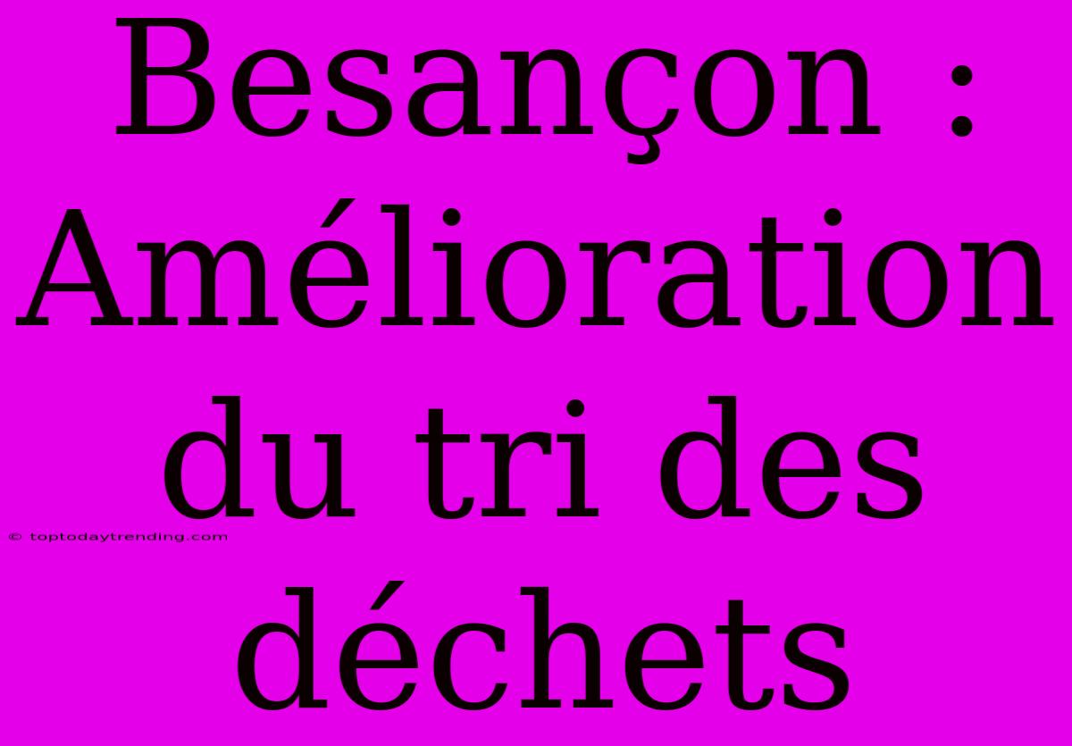 Besançon : Amélioration Du Tri Des Déchets