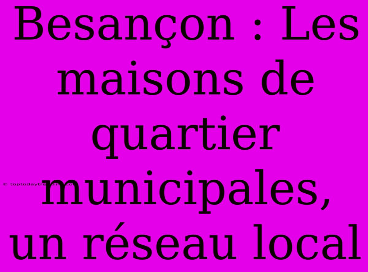 Besançon : Les Maisons De Quartier Municipales, Un Réseau Local