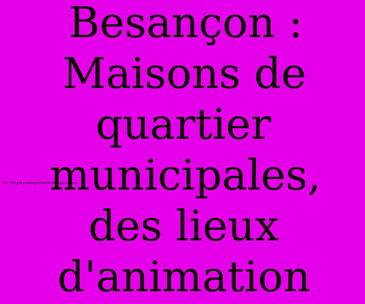 Besançon : Maisons De Quartier Municipales, Des Lieux D'animation