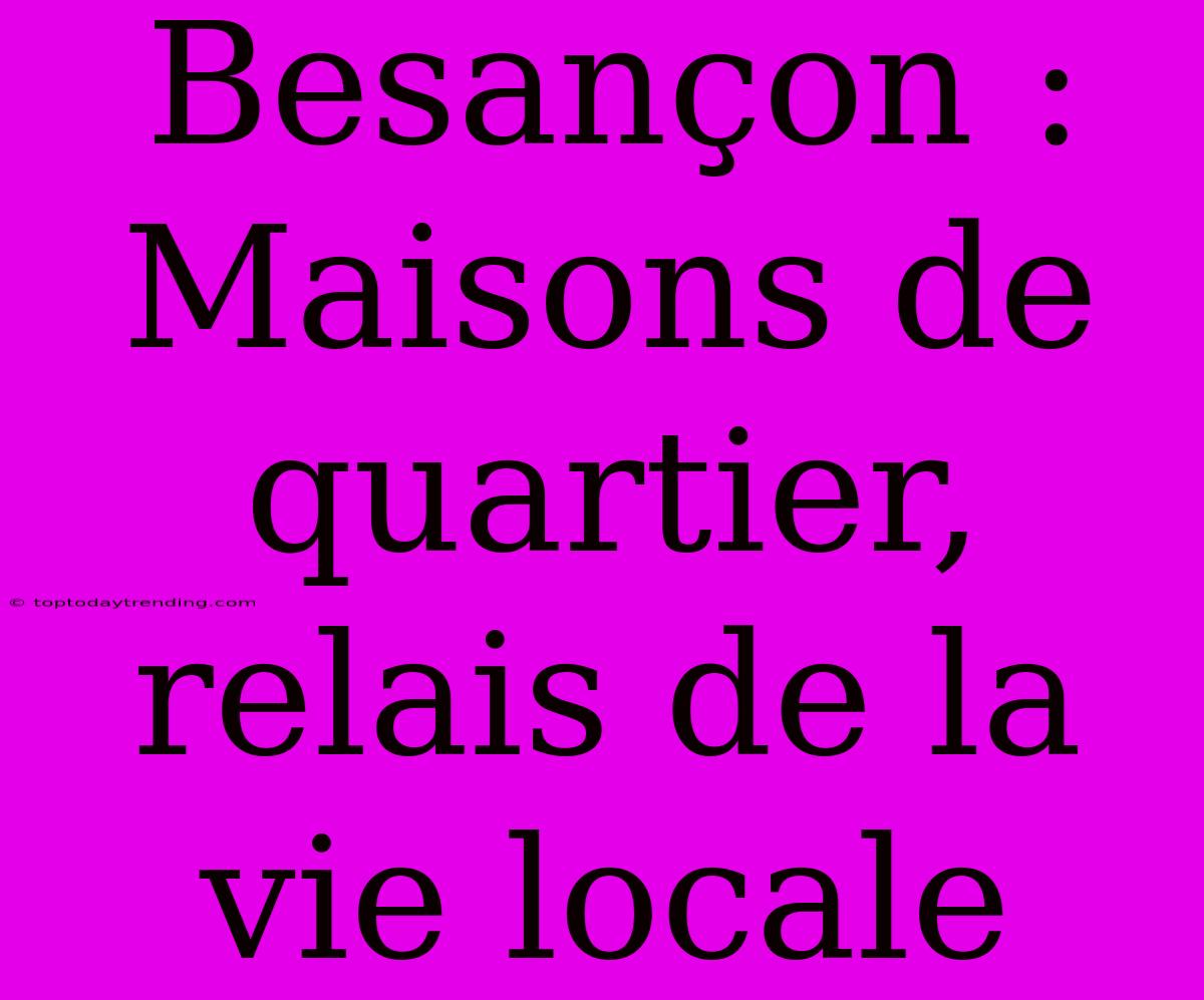 Besançon : Maisons De Quartier, Relais De La Vie Locale