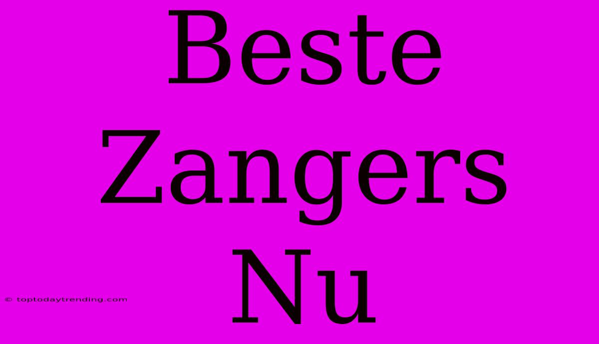 Beste Zangers Nu