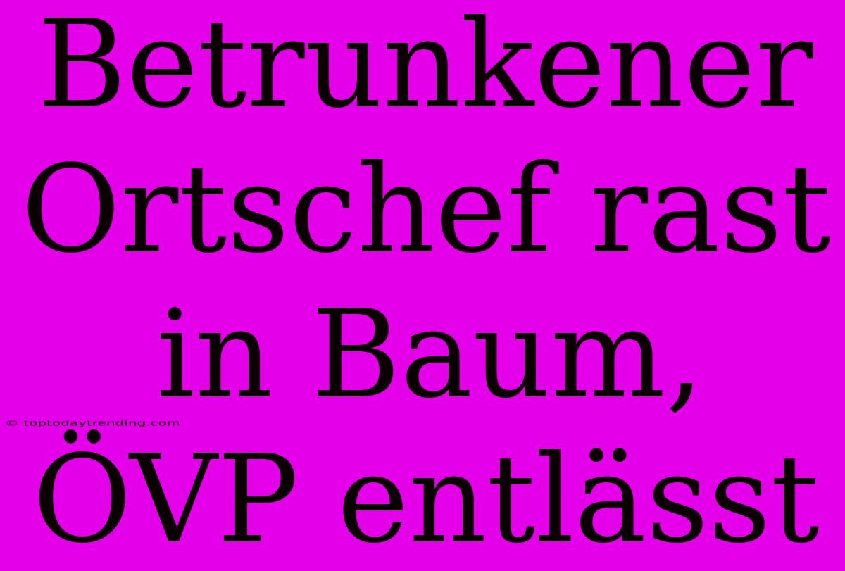 Betrunkener Ortschef Rast In Baum, ÖVP Entlässt