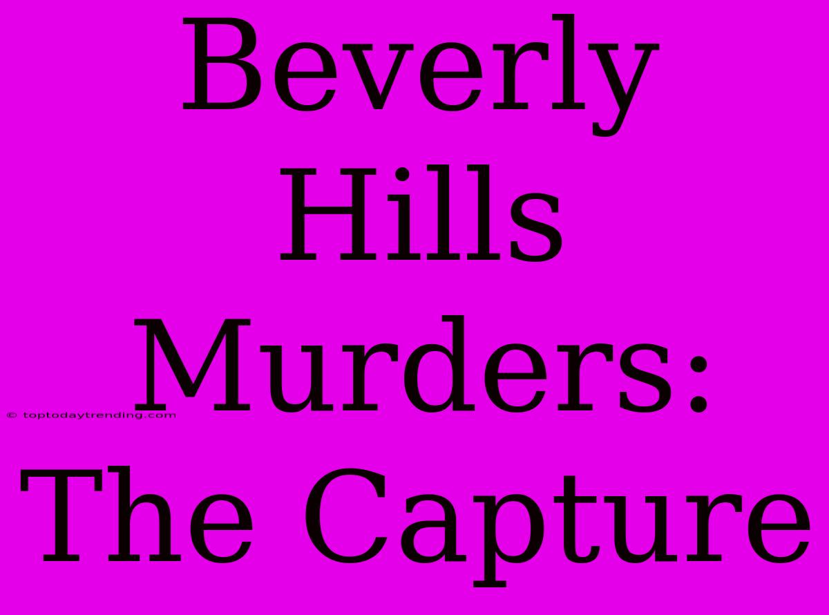 Beverly Hills Murders: The Capture