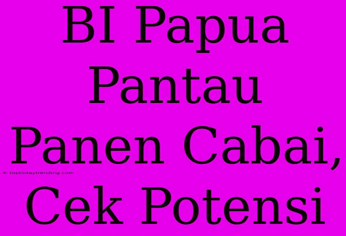 BI Papua Pantau Panen Cabai, Cek Potensi