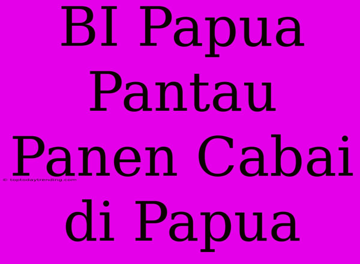 BI Papua Pantau Panen Cabai Di Papua