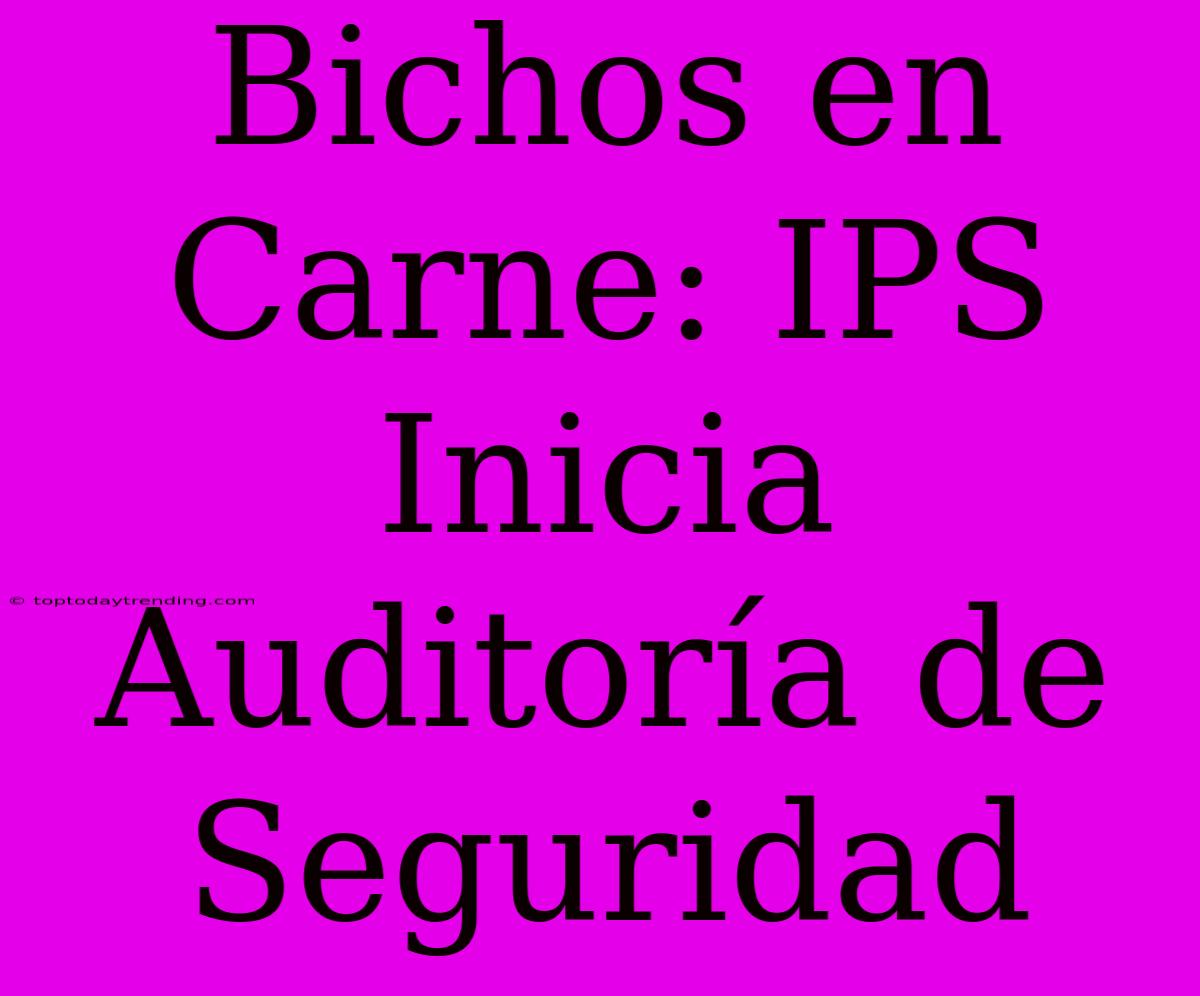 Bichos En Carne: IPS Inicia Auditoría De Seguridad