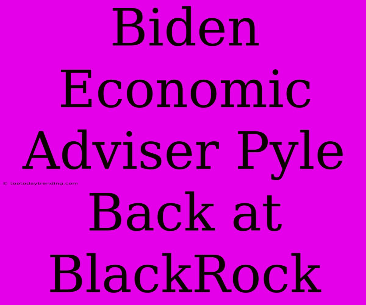 Biden Economic Adviser Pyle Back At BlackRock