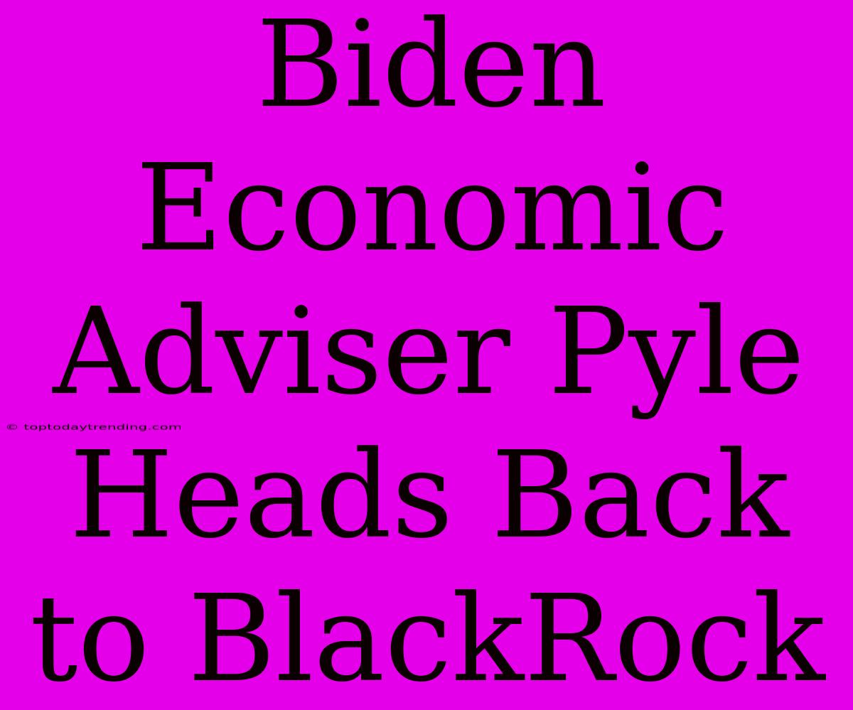 Biden Economic Adviser Pyle Heads Back To BlackRock