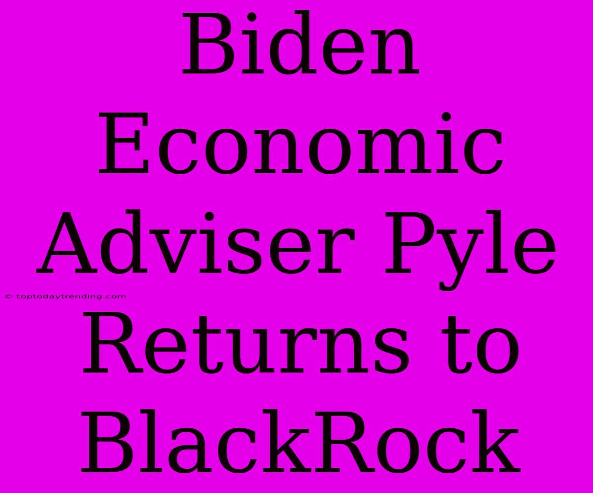 Biden Economic Adviser Pyle Returns To BlackRock