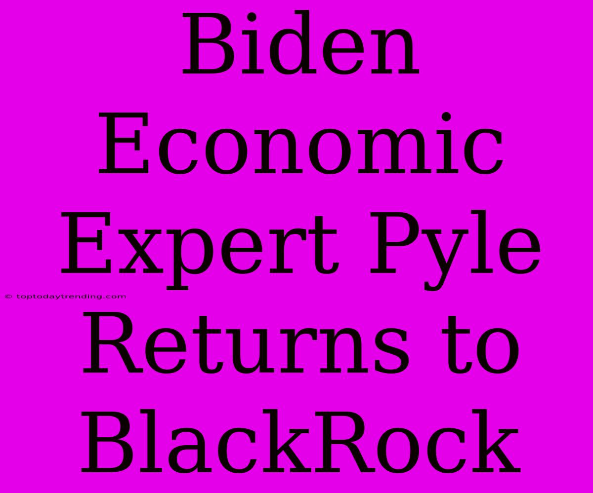 Biden Economic Expert Pyle Returns To BlackRock