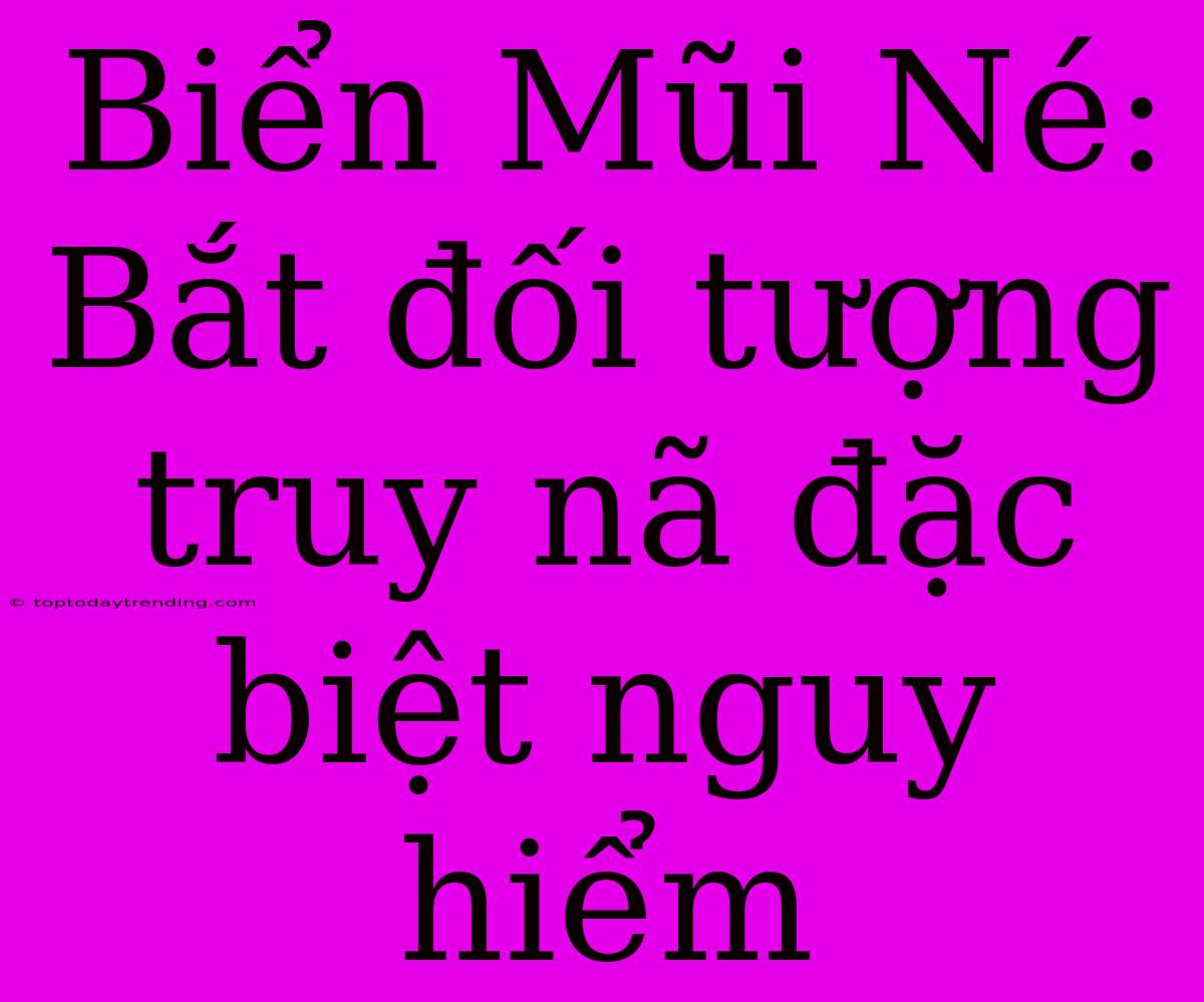 Biển Mũi Né: Bắt Đối Tượng Truy Nã Đặc Biệt Nguy Hiểm