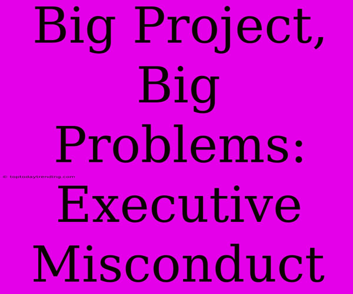 Big Project, Big Problems: Executive Misconduct