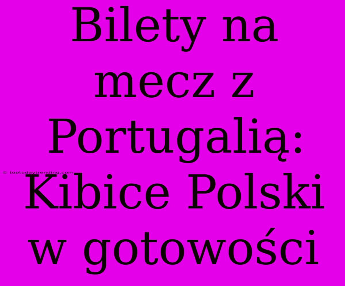 Bilety Na Mecz Z Portugalią: Kibice Polski W Gotowości