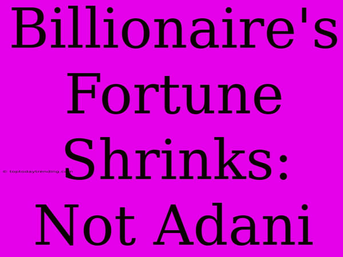 Billionaire's Fortune Shrinks: Not Adani