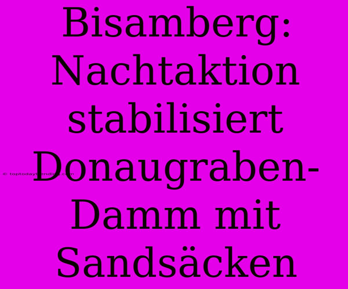 Bisamberg: Nachtaktion Stabilisiert Donaugraben-Damm Mit Sandsäcken