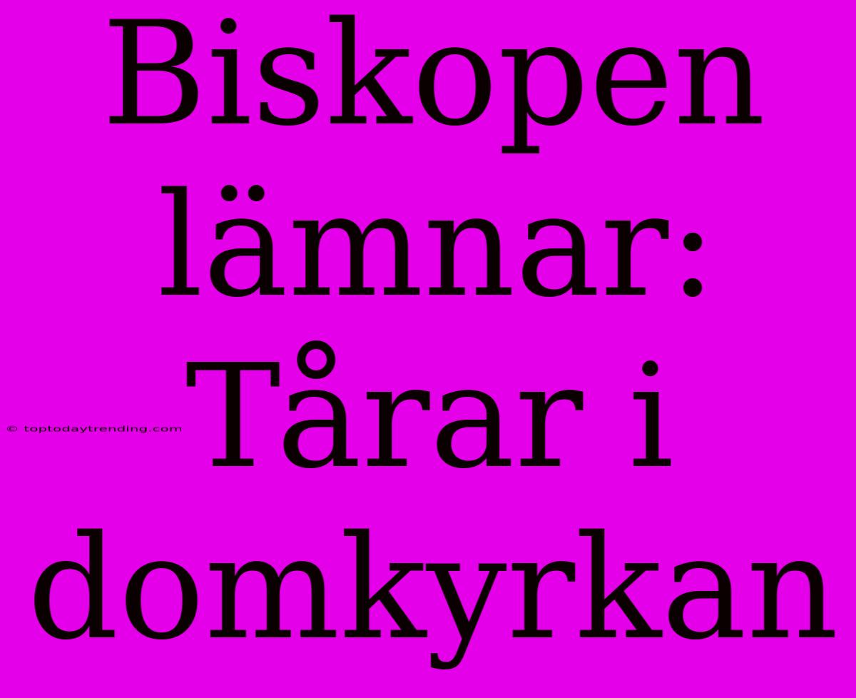 Biskopen Lämnar: Tårar I Domkyrkan