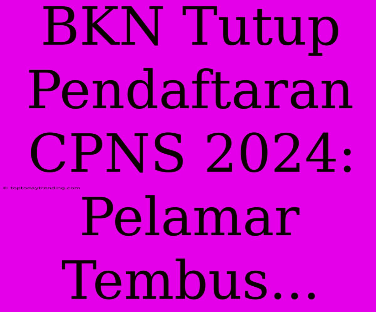 BKN Tutup Pendaftaran CPNS 2024: Pelamar Tembus...