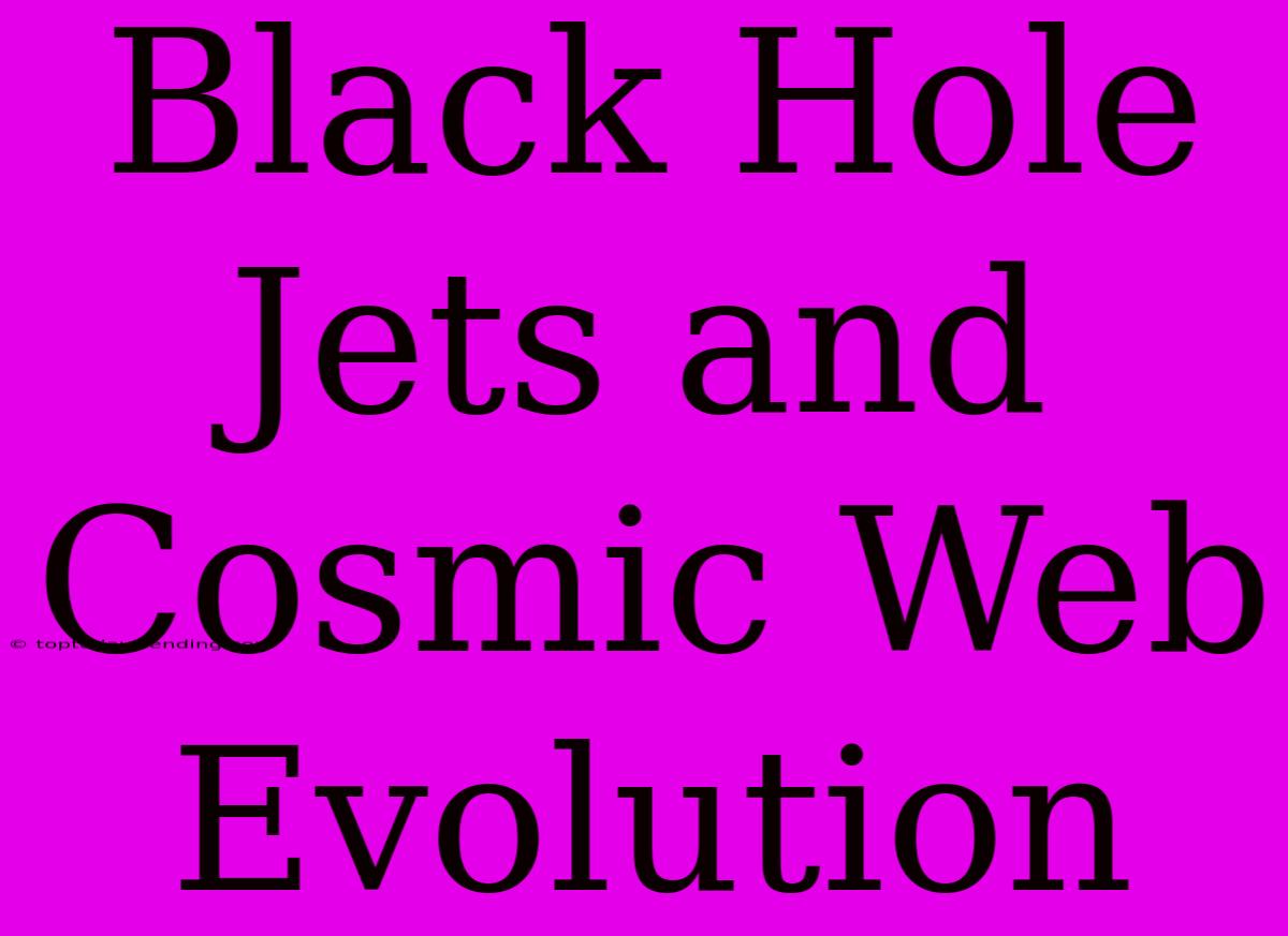 Black Hole Jets And Cosmic Web Evolution