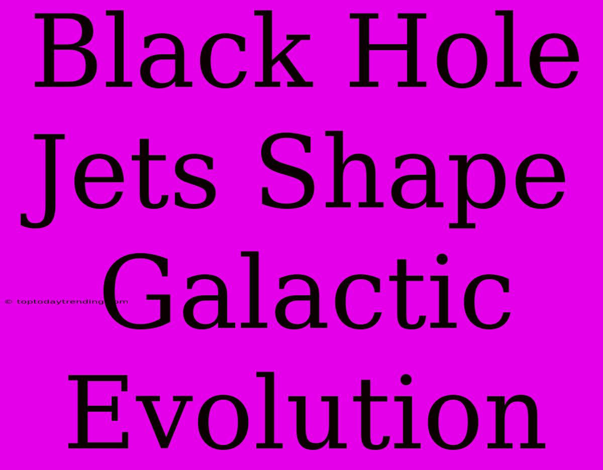 Black Hole Jets Shape Galactic Evolution