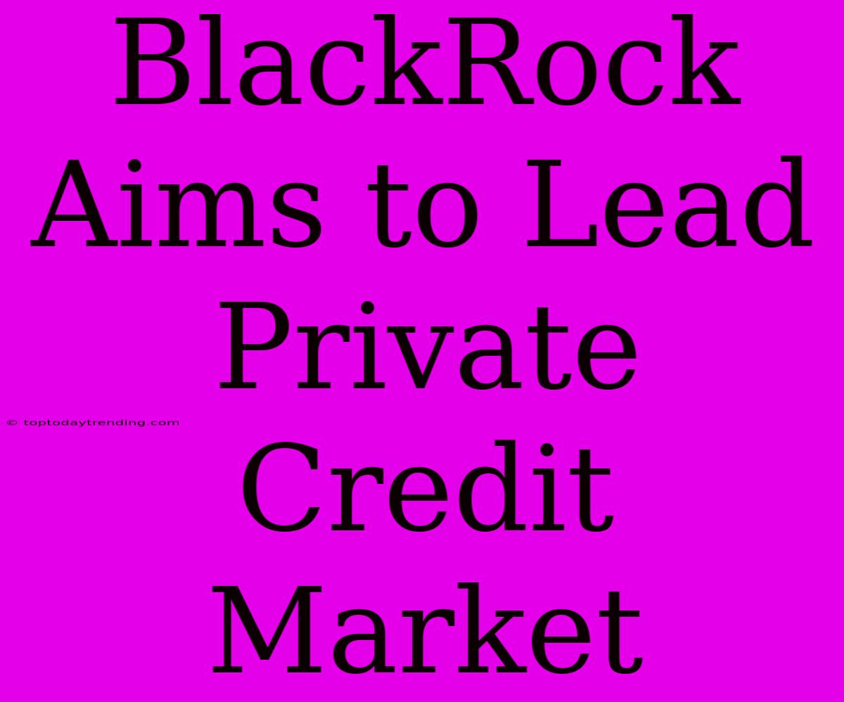 BlackRock Aims To Lead Private Credit Market