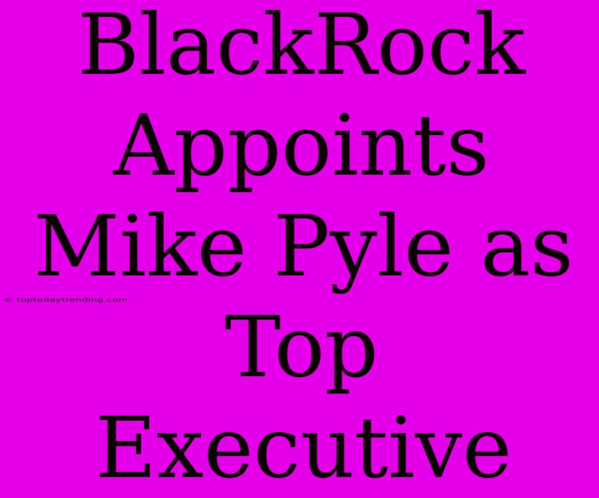 BlackRock Appoints Mike Pyle As Top Executive