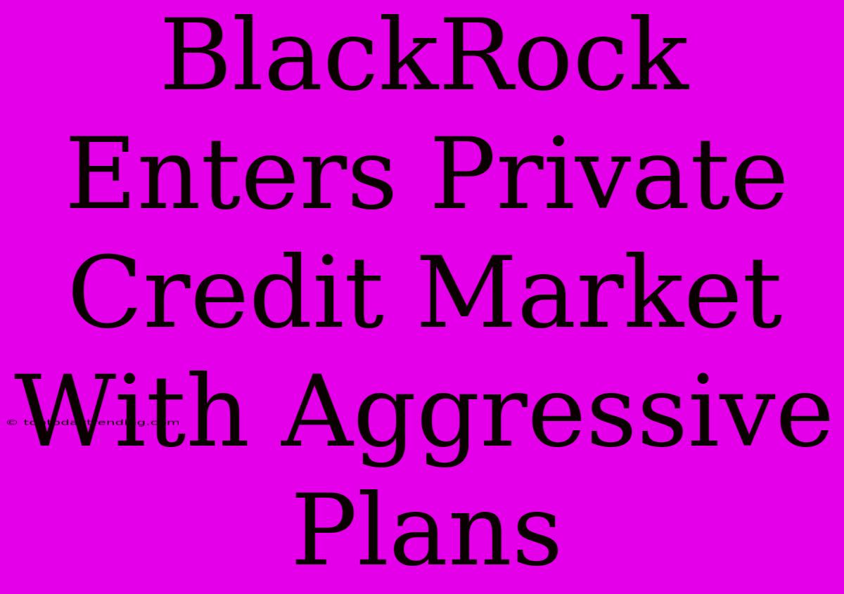 BlackRock Enters Private Credit Market With Aggressive Plans