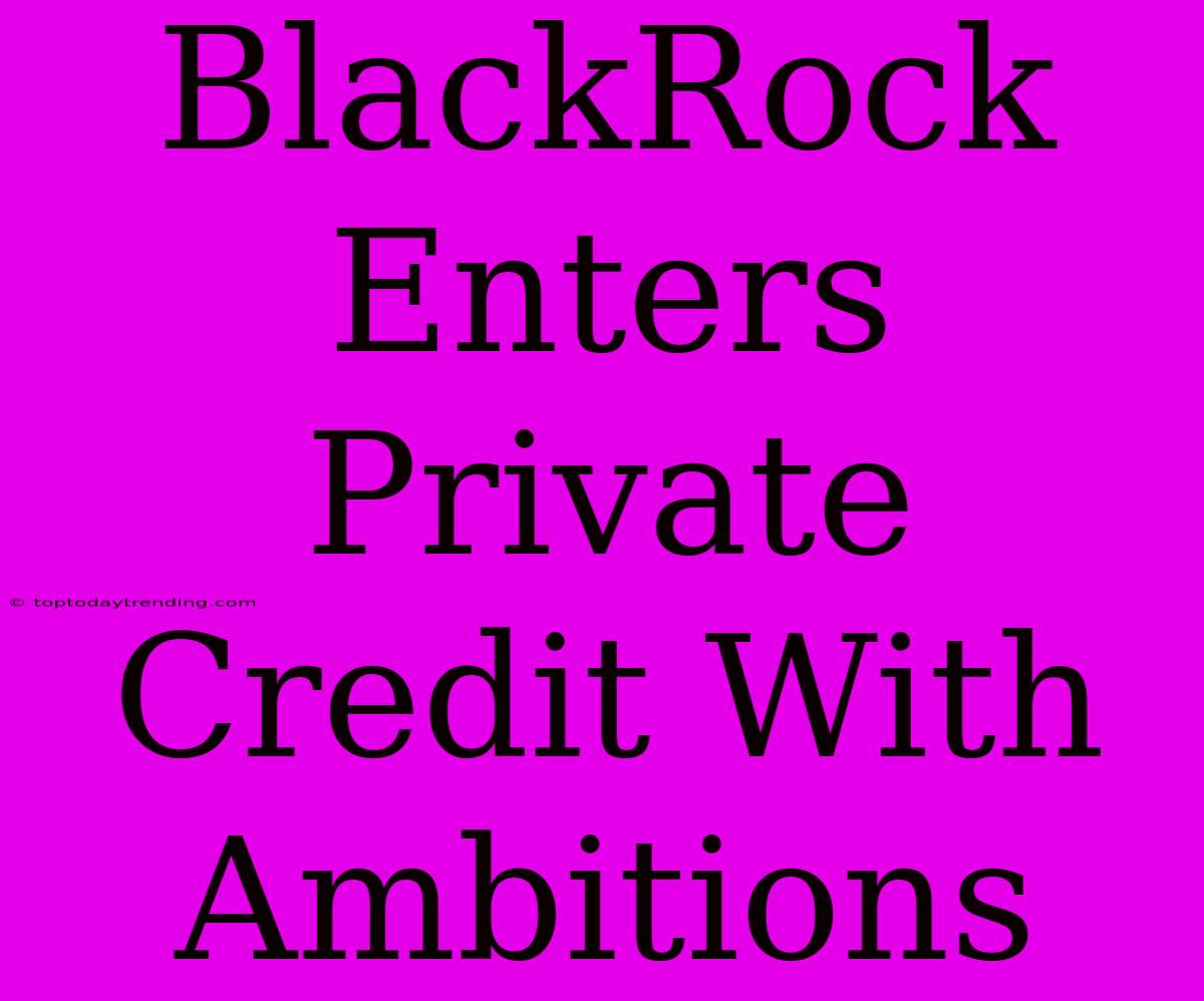 BlackRock Enters Private Credit With Ambitions