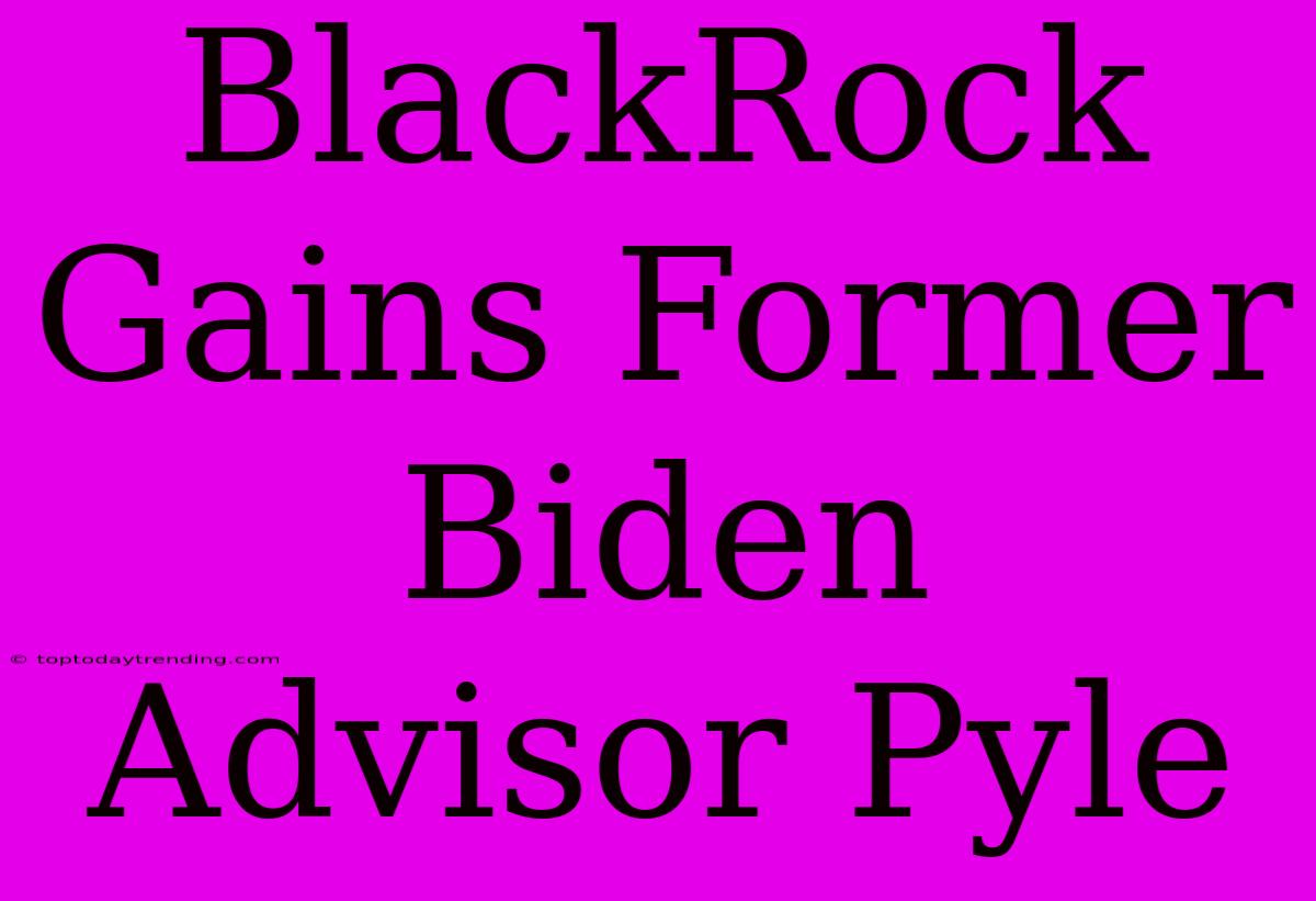 BlackRock Gains Former Biden Advisor Pyle