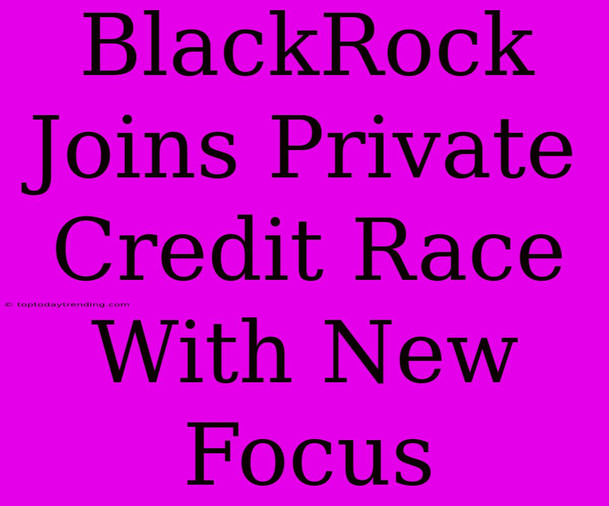 BlackRock Joins Private Credit Race With New Focus