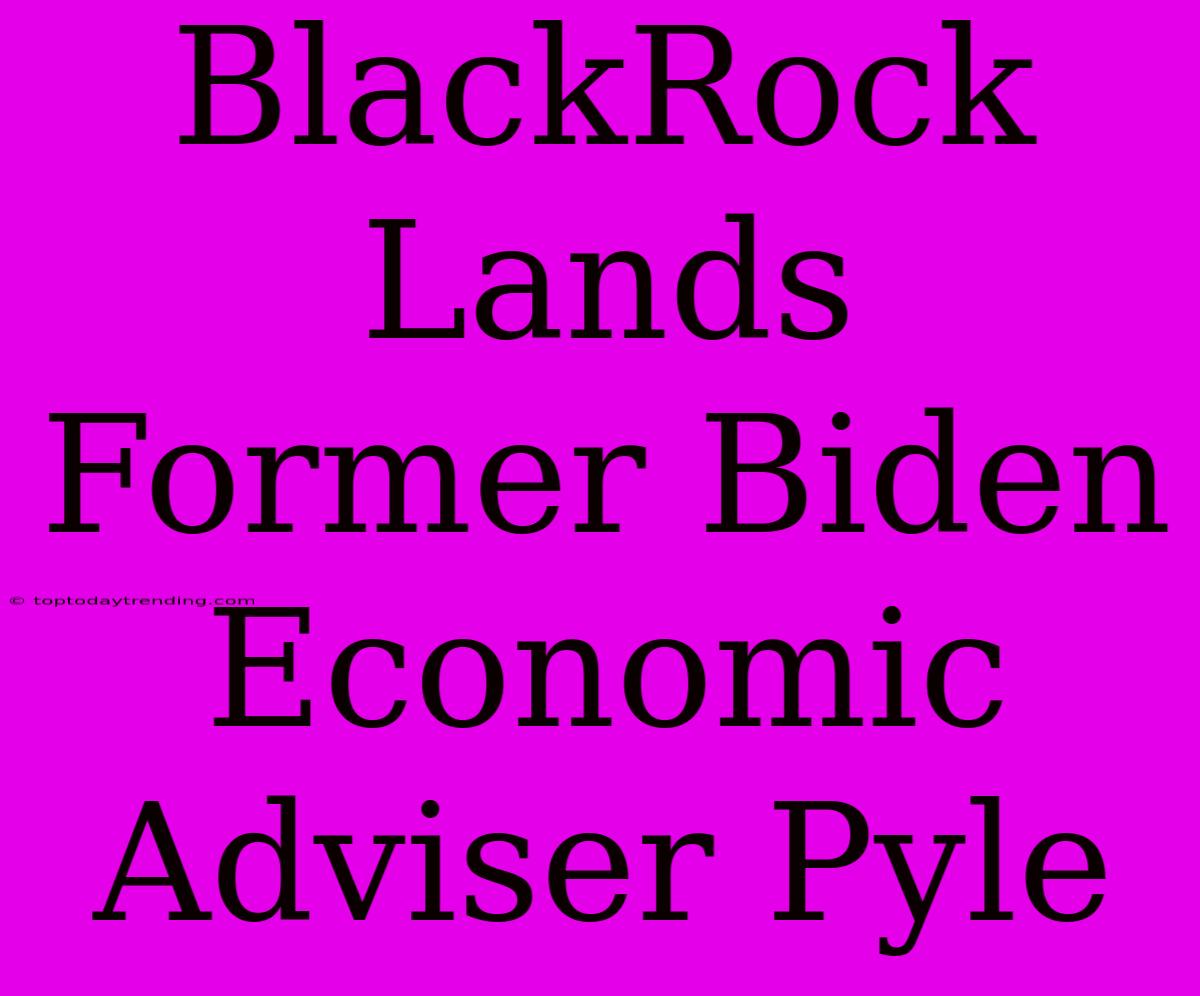 BlackRock Lands Former Biden Economic Adviser Pyle