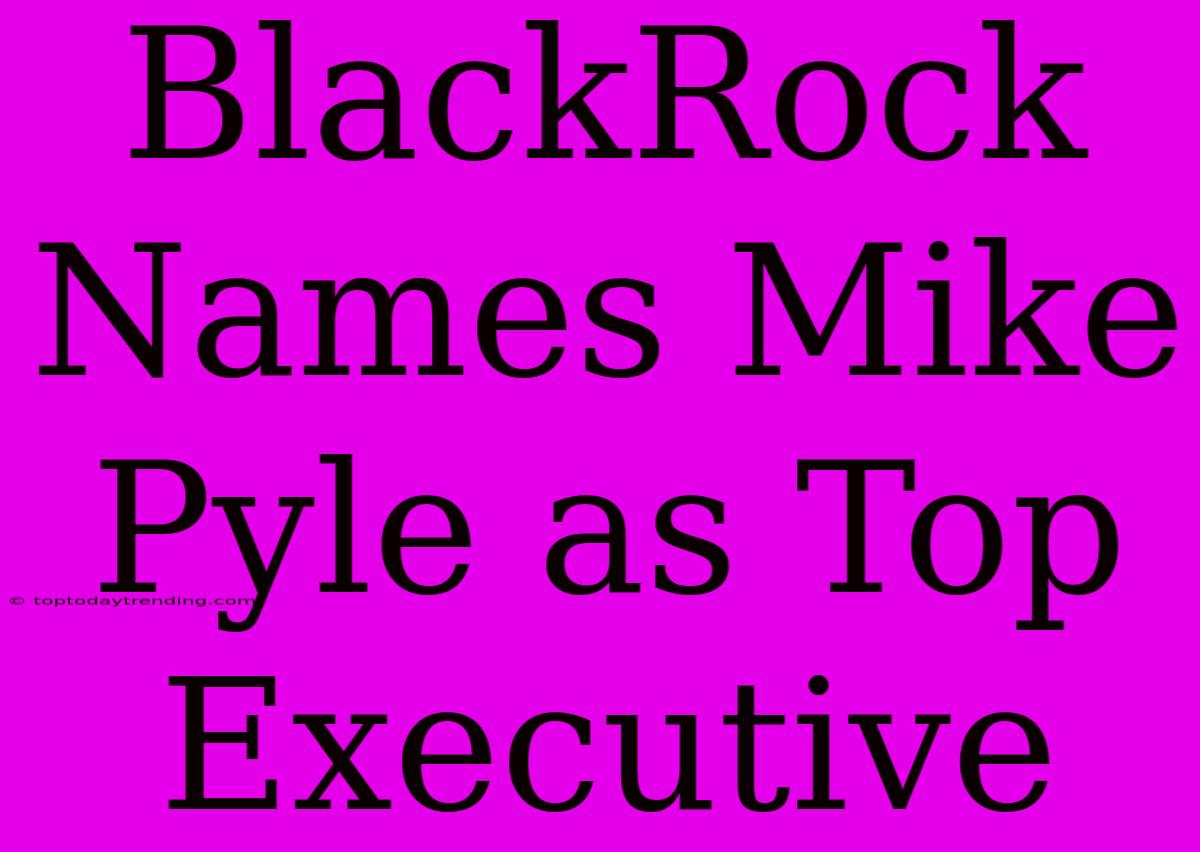 BlackRock Names Mike Pyle As Top Executive