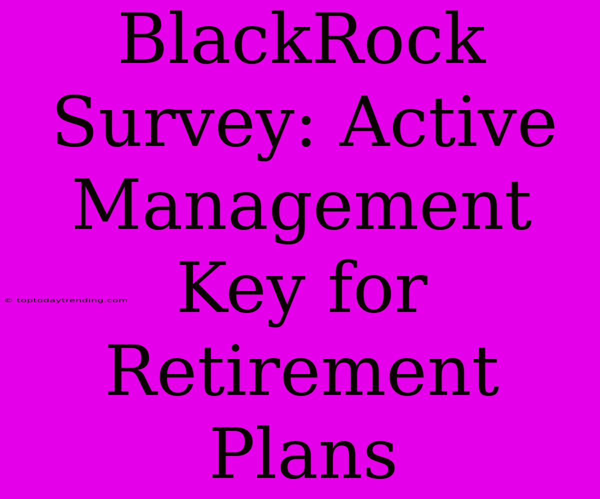 BlackRock Survey: Active Management Key For Retirement Plans