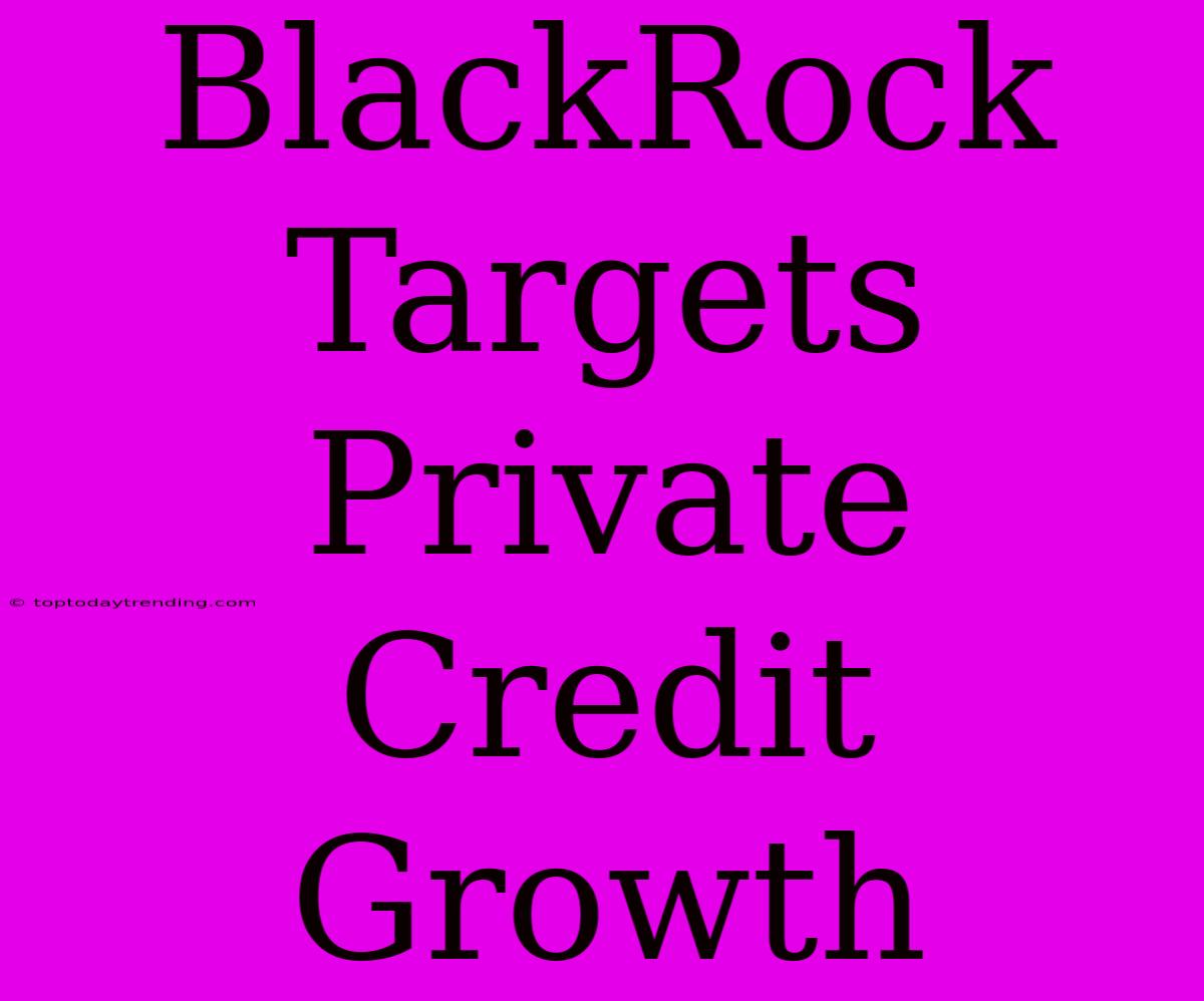 BlackRock Targets Private Credit Growth