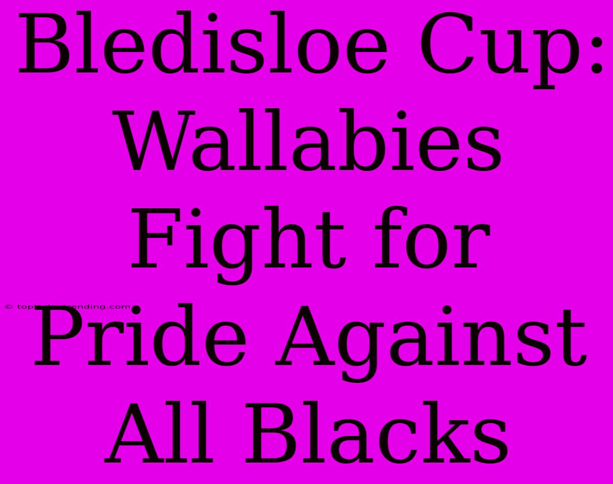 Bledisloe Cup: Wallabies Fight For Pride Against All Blacks