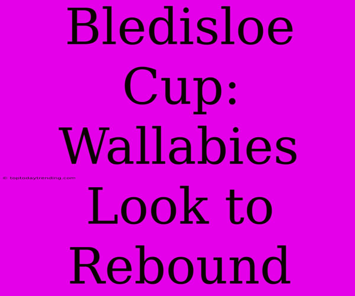 Bledisloe Cup: Wallabies Look To Rebound