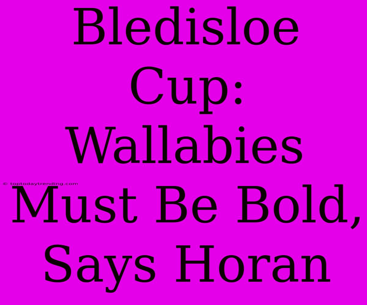 Bledisloe Cup: Wallabies Must Be Bold, Says Horan