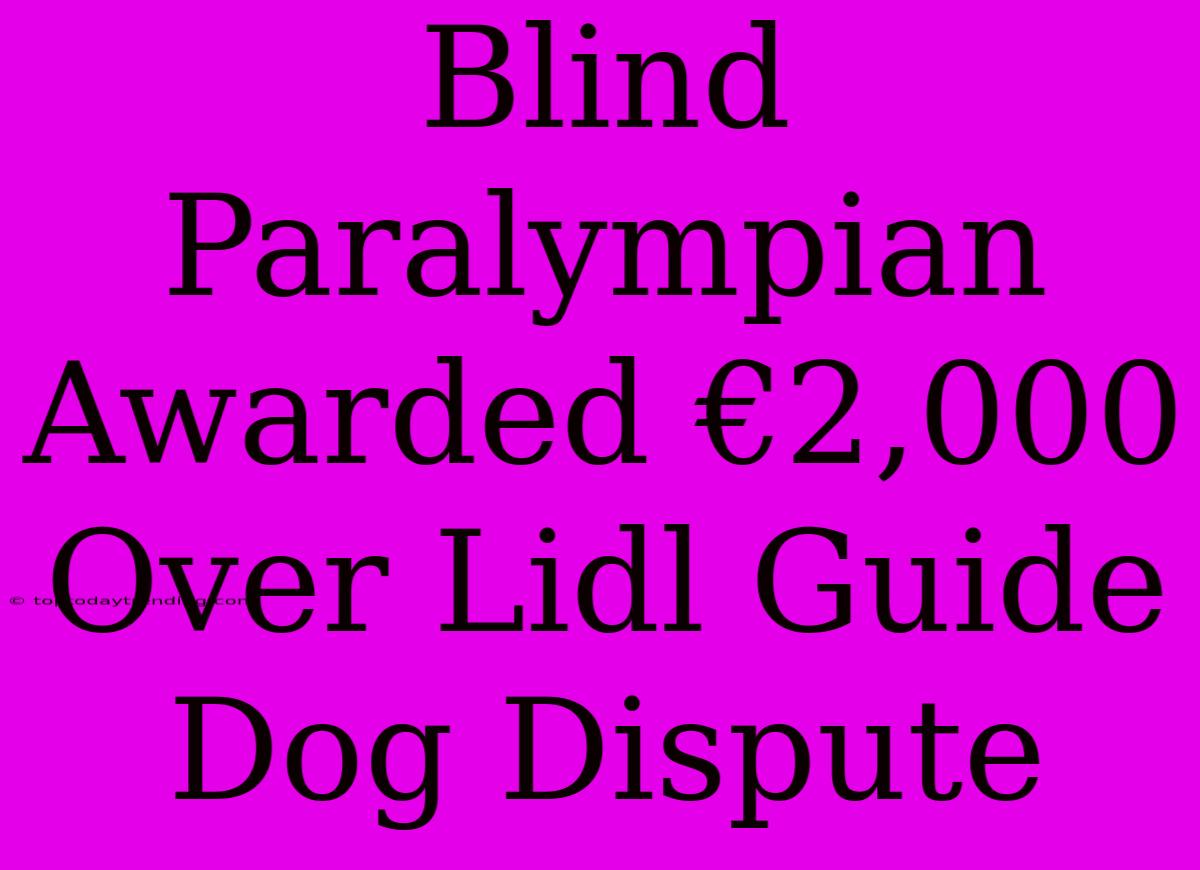 Blind Paralympian Awarded €2,000 Over Lidl Guide Dog Dispute