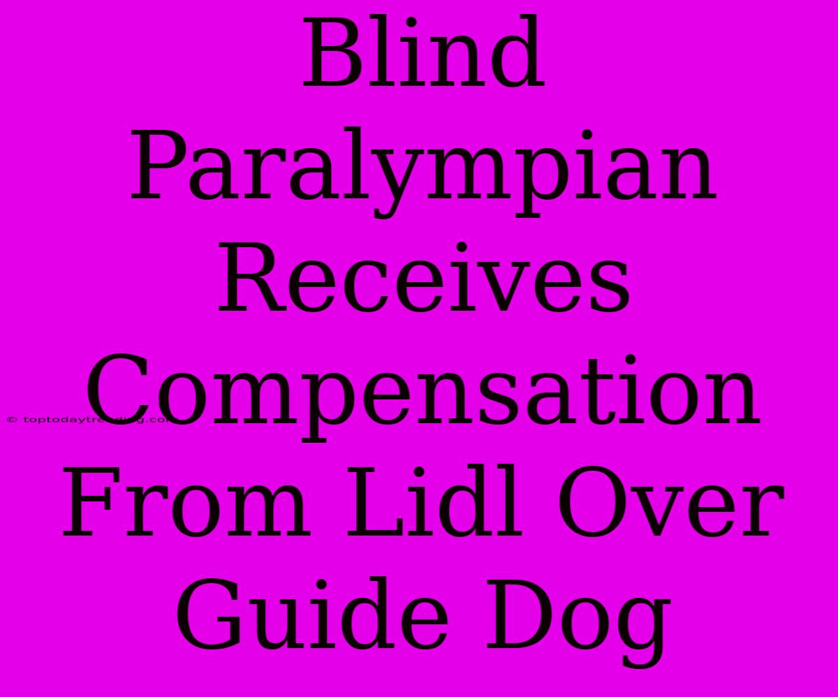 Blind Paralympian Receives Compensation From Lidl Over Guide Dog