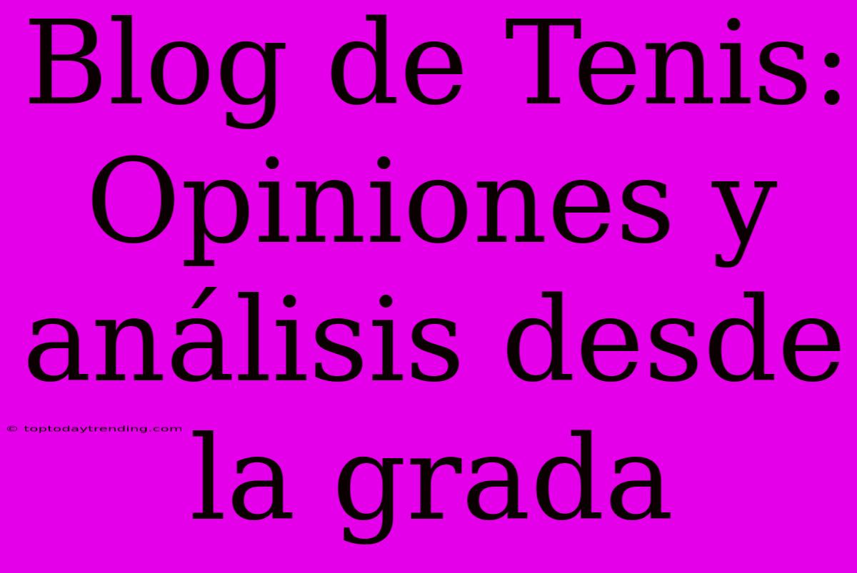 Blog De Tenis: Opiniones Y Análisis Desde La Grada