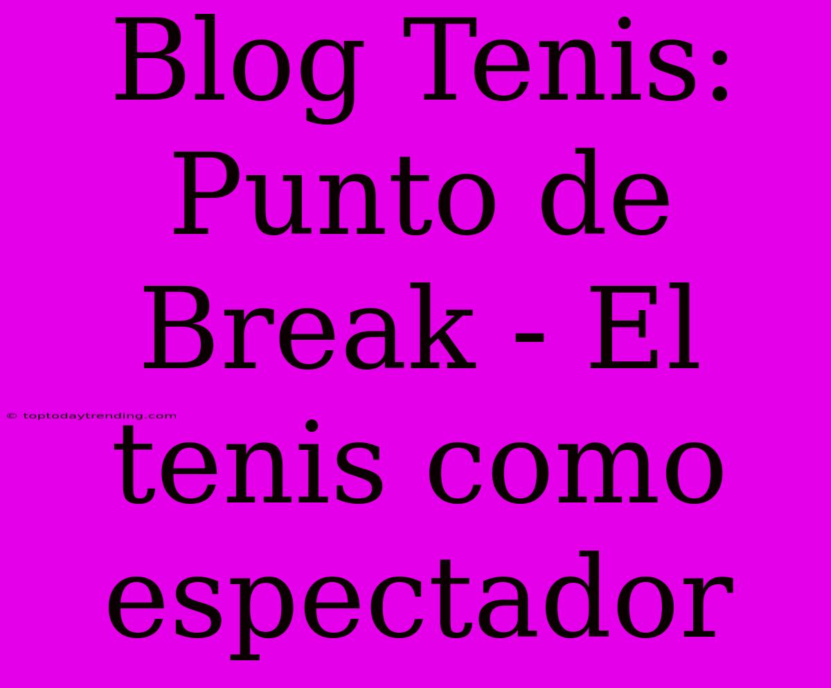 Blog Tenis: Punto De Break - El Tenis Como Espectador