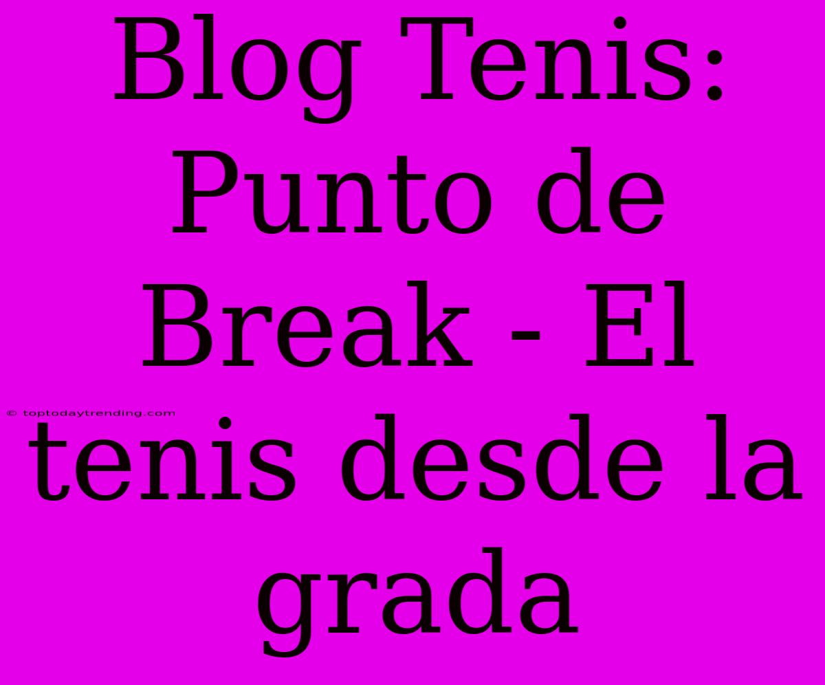 Blog Tenis: Punto De Break - El Tenis Desde La Grada