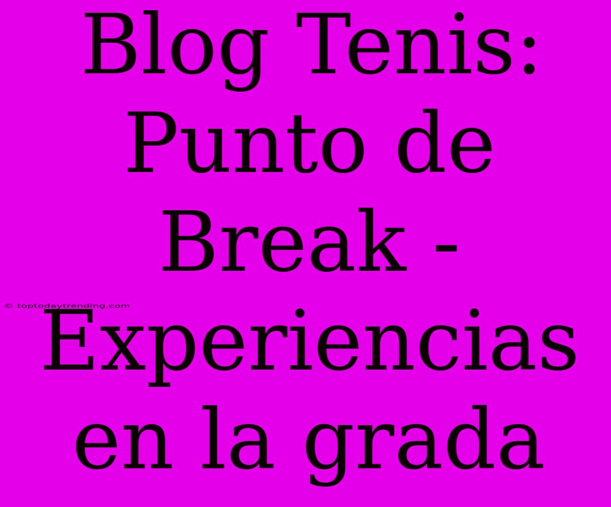 Blog Tenis: Punto De Break - Experiencias En La Grada