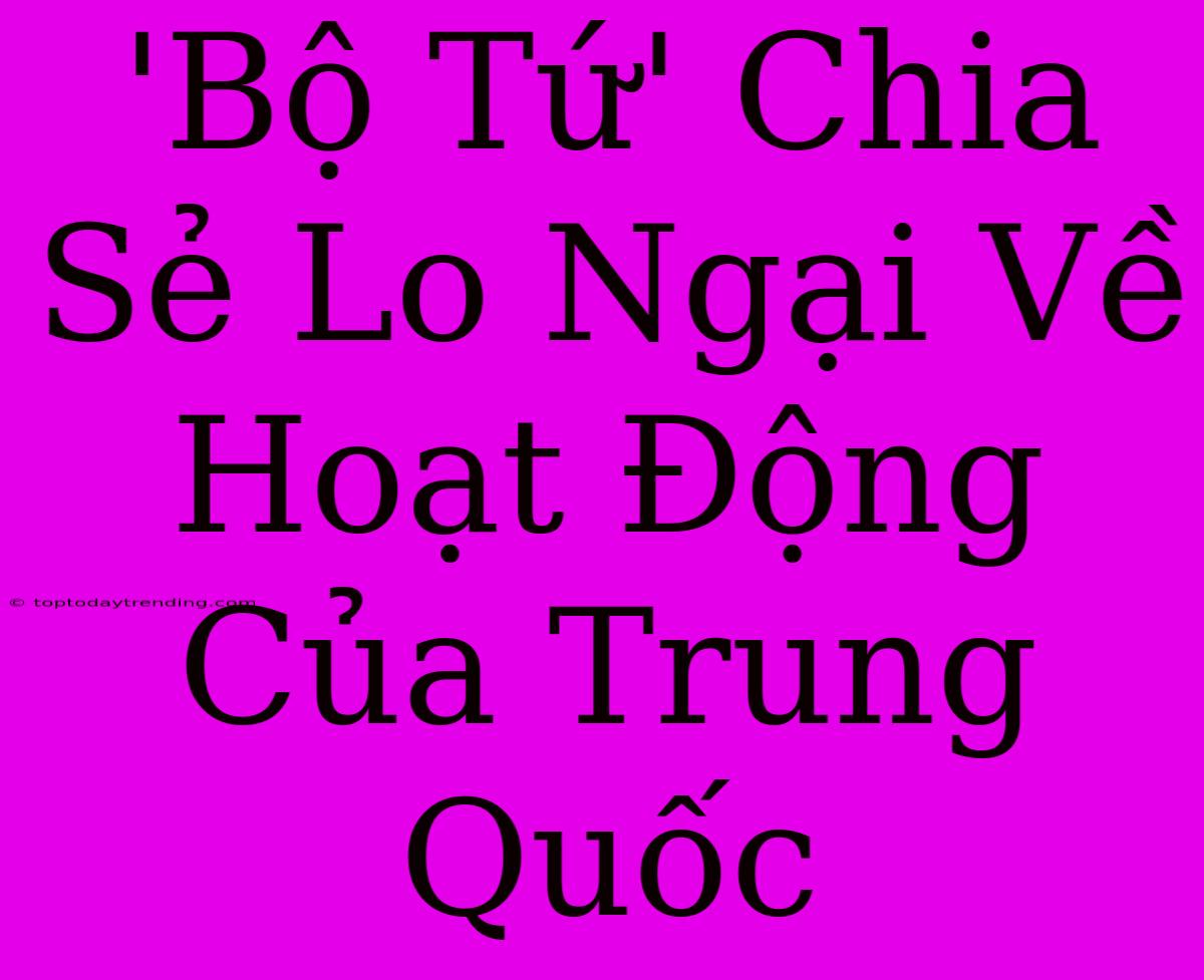 'Bộ Tứ' Chia Sẻ Lo Ngại Về Hoạt Động Của Trung Quốc