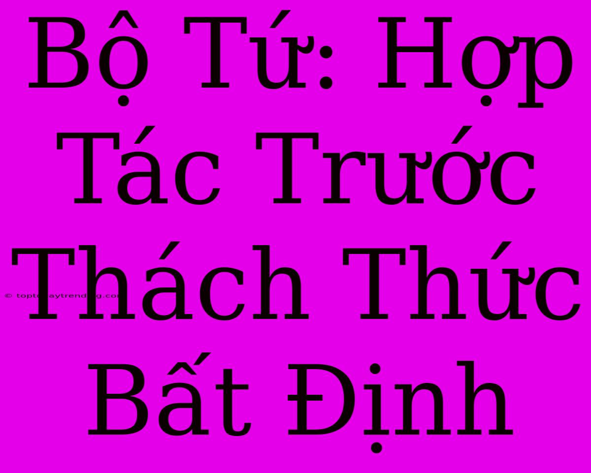 Bộ Tứ: Hợp Tác Trước Thách Thức Bất Định