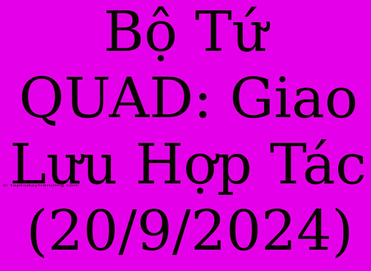 Bộ Tứ QUAD: Giao Lưu Hợp Tác (20/9/2024)